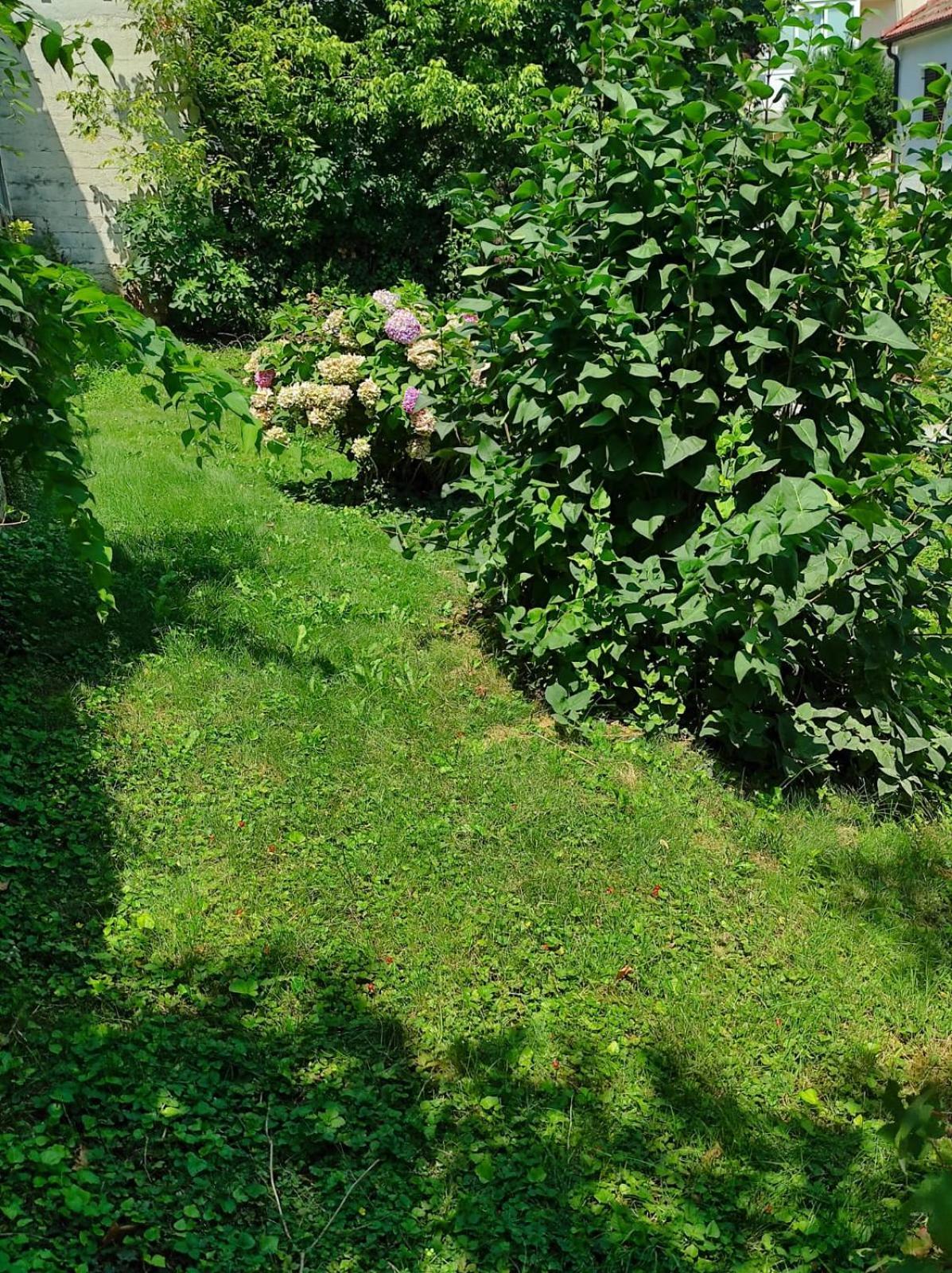 Apartman Zagreb,Rebro,Maksimir,Centar Marko エクステリア 写真