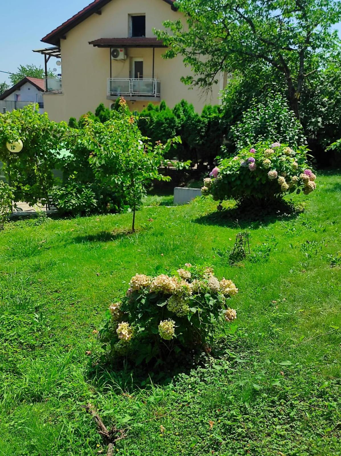 Apartman Zagreb,Rebro,Maksimir,Centar Marko エクステリア 写真