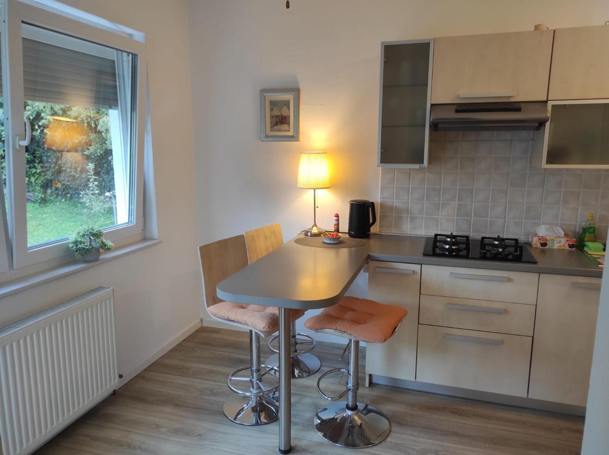 Apartman Zagreb,Rebro,Maksimir,Centar Marko エクステリア 写真